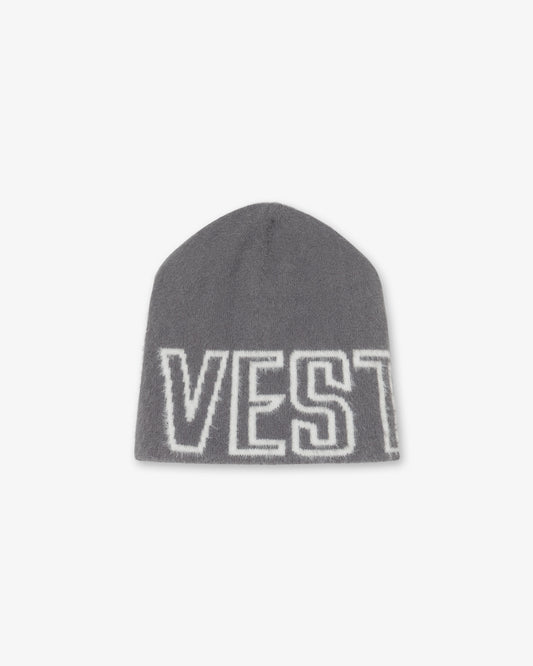 V1 BEANIE