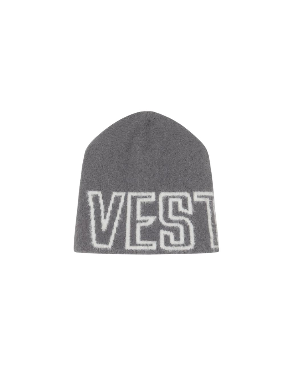 V1 BEANIE