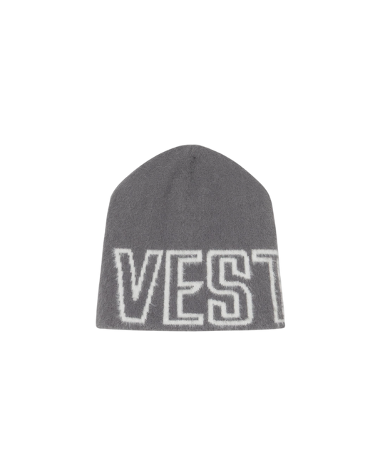 V1 BEANIE